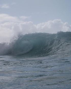 and another perfect wave
