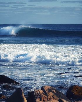 Surfing