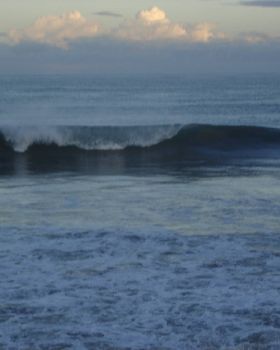 whos having a sickie in WA emptiness.......