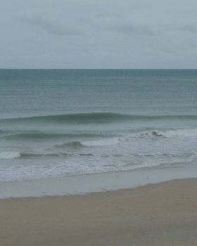 Sickies are sometimes gold when its cyclonic