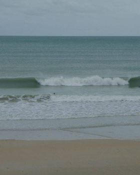 Sickies are sometimes gold when its cyclonic