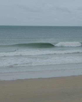 Sickies are sometimes gold when its cyclonic