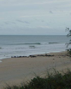 Sickies are sometimes gold when its cyclonic