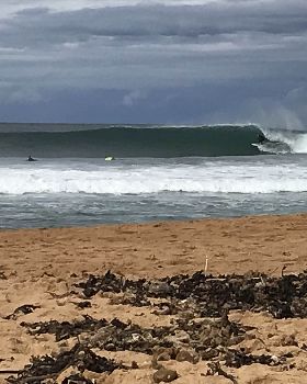 Surfing