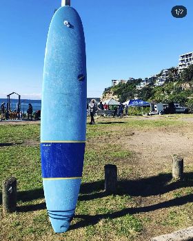 Stolen NSP Elements Longboard