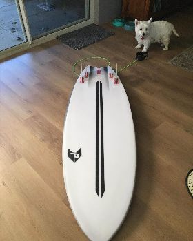 Surfing