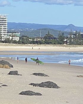 Surfing