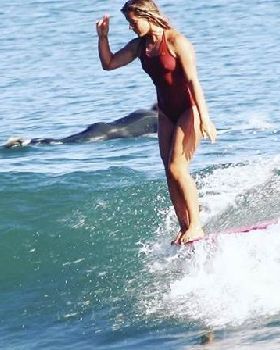 Surfing