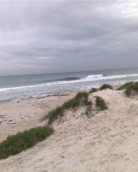Surfing