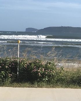 Surfing
