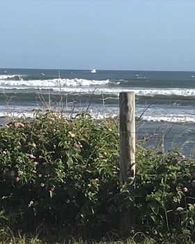 Surfing
