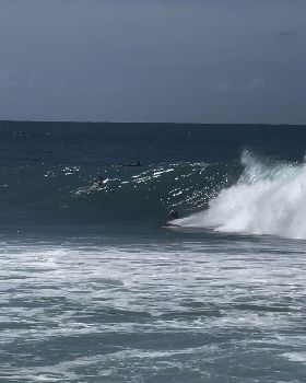 Surfing