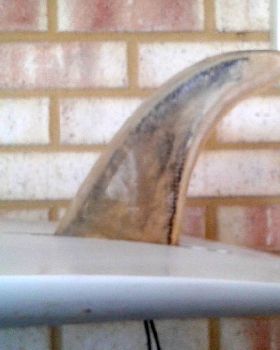 8" high wind fin