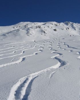 Fresh snow