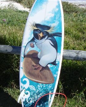 Surfing