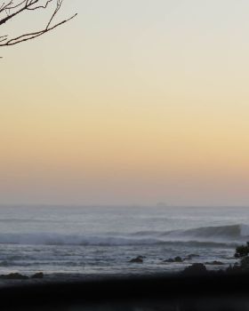 Surfing