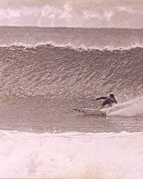 dogman nth coast nsw