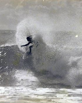 dogman nth coast nsw