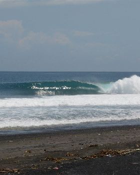 indo