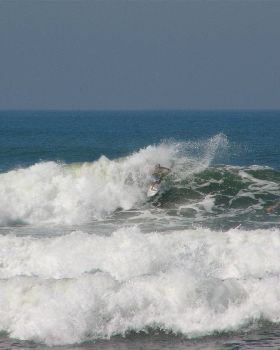 indo