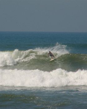 indo