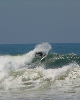 indo