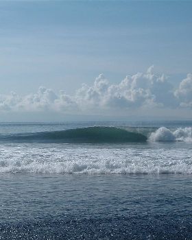 indo