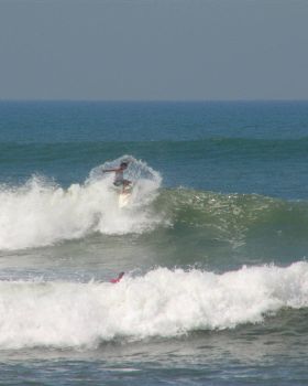 indo