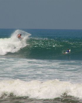indo