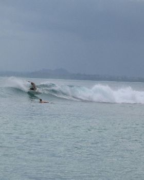 Mentawais