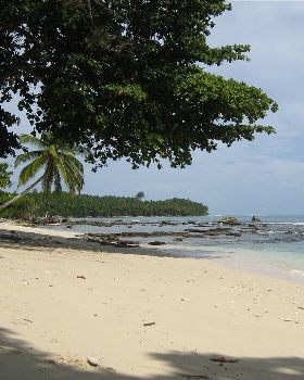 Mentawais