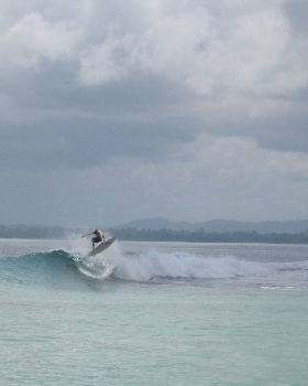 Mentawais