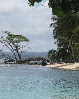 Mentawais