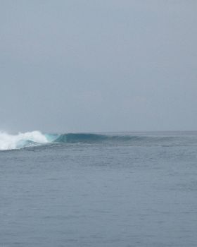 Mentawais