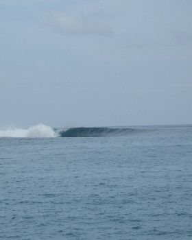 Mentawais