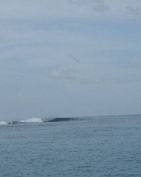 Mentawais