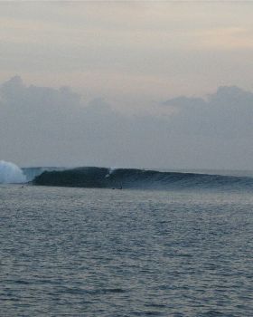 Mentawais