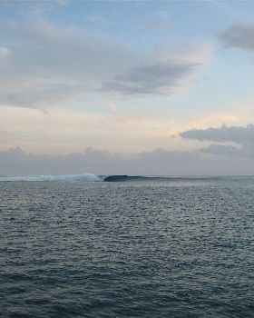 Mentawais
