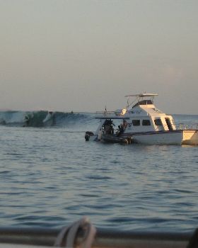 Mentawais