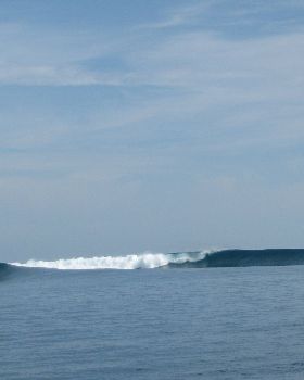 Mentawais