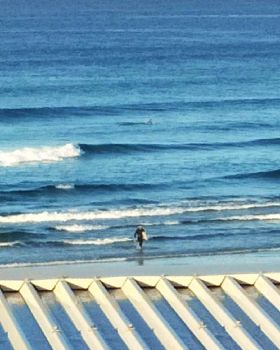 Surfing