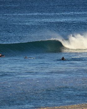Surfing