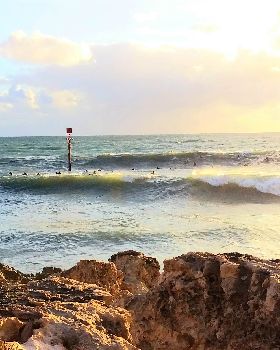 Surfing