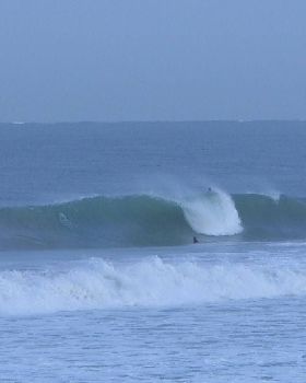 Surfing
