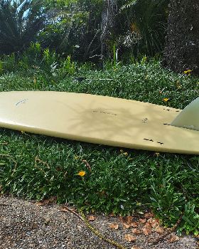 Surfing