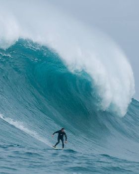 Wests Todd Quartermaine at west oz bombie