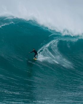 Wests Todd Quartermaine at west oz bombie