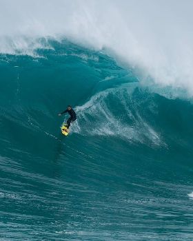 Wests Todd Quartermaine at west oz bombie