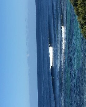 Surfing