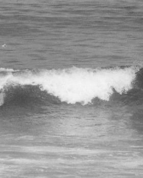 Decrep, bottom turn